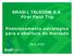 BRASIL TELECOM S.A. First Field Trip Posicionamento estratégico para a abertura do mercado
