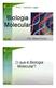 8/18/2015. IFSC Campus Lages. Biologia Molecular. Prof. Silmar Primieri. O que é Biologia Molecular?