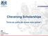 Chevening Scholarships