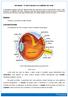 Atividade O olho humano e os defeitos da visão