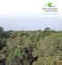 Rede Amazônia Sustentável. Pesquisas sobre vegetação