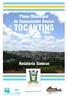 Plano Municipal de Saneamento Básico TOCANTINS. Relatório Síntese