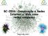 BC-0506: Comunicação e Redes Internet e Web como redes complexas