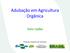 Adubação em Agricultura Orgânica