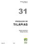 MANUAL TÉCNICO, 31 ISSN 1983-5671 PRODUÇÃO DE TILÁPIAS. Augusto Costa Pereira Rodrigo Fróes Silva