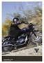 Bonneville T100 09/02/2015 18:53:08