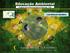 Educação Ambiental INSTITUTO BRASIL SOLIDÁRIO. Luis Eduardo Salvatore. Programa de Desenvolvimento da Educação - PDE