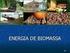 Contribuição do Projeto BK Energia Itacoatiara para o Desenvolvimento Sustentável. a) Contribuição para a sustentabilidade ambiental local