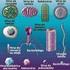 Biologia. AIDS, dengue e gripe