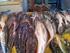 DESPERDÍCIO - Gaivotas disputam peixes jogados ao mar por barco britânico em 2013: a pesca superou a cota fixada pela União Europeia