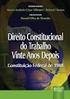 CURSO REGULARIZAÇÃO FUNDIÁRIA. Tratamento Constitucional da Política Urbana: Estatuto da Cidade; Regularização Fundiária e o Papel do Plano Diretor.