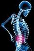 Proteger a medula espinal e os nervos espinais. Fornece um eixo parcialmente rígido e flexível para o corpo e um pivô para a cabeça