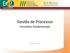 Processos. Gestão de Processos. Conceitos fundamentais. Por André L. N. Campos. André Campos