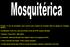 Projeto: O uso de armadilhas como recurso para controle do mosquito vetor da dengue no Triângulo Mineiro.