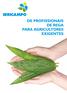 IRRICAMPO solidez organização interna saúde económico-financeira segurança estabilidade IRRICAMPO