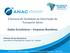 II Semana de Qualidade da Informação do Transporte Aéreo. Dados Econômicos Empresas Brasileiras