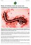 Ébola: 22 milhões vivem em zonas com condições para transmissão animais-pessoas