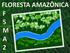 FLORESTA AMAZÔNICA F 5 M A 2