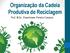 Organização da Cadeia Produtiva de Reciclagem. Prof. M.Sc. Eisenhower Pereira Campos