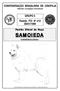 SAMOIEDA CONFEDERAÇÃO BRASILEIRA DE CINOFILIA. GRUPO 5 Padrão FCI N o 212 09/01/1999. Padrão Oficial da Raça. Fédération Cynologique Internationale