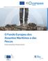 aplicação dos instrumentos financeiros dos FEEI O Fundo Europeu dos Assuntos Marítimos e das Pescas Instrumentos financeiros