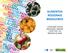 ALIMENTOS REGIONAIS BRASILEIROS. Coordenação-Geral de Alimentação e Nutrição CGAN / DAB / SAS Ministério da Saúde