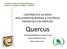 CONTRIBUTOS DA NOVA REGULAMENTAÇÃOPARA A EFICIÊNCIA ENERGÉTICA EM EDIFÍCIOS. alinedelgado@quercusancn.org quercus@quercus.pt www.quercus.