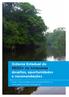 Sistema Estadual de REDD+ no Amazonas: desafios, oportunidades e recomendações