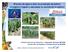 Manejo de água e solo na produção da palma forrageira irrigada e adensada no semiárido brasileiro