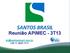 Reunião APIMEC - 3T13. dri@santosbrasil.com.br +55 11 3897-1111