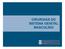 CIRURGIAS DO SISTEMA GENITAL MASCULINO. Prof. Dr. João Moreira da Costa Neto Departamento de Patologia e Clínicas UFBA E-mail: jmcn@ufba.