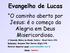 Evangelho de Lucas. O caminho aberto por Jesus: é o começo da Alegria em Deus Misericordioso.