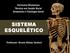 Hermann Blumenau Técnico em Saúde Bucal Anatomia e Fisiologia Geral SISTEMA ESQUELÉTICO. Professor: Bruno Aleixo Venturi