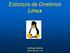 Estrutura de Diretórios Linux. Rodrigo Gentini gentini@msn.com