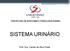 DISCIPLINA DE ANATOMIA E FISIOLOGIA ANIMAL SISTEMA URINÁRIO. Prof. Dra. Camila da Silva Frade