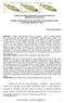 DESEJO DE FILHO BIOLÓGICO E AS VICISSITUDES DA REPRODUÇÃO ASSISTIDA DESIRE OF BIOLOGICAL SON AND THE VICISSITUDES OF THE ATTENDED REPRODUCTION