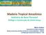 Madeira Tropical Amazônica Indústria de Base Florestal Diálogo e Construção de Governança