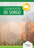 SORGO. O granífero é o que tem maior expressão econômica e destina-se principalmente à alimentação animal.