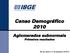 Censo Demográfico 2010. Aglomerados subnormais Primeiros resultados