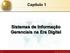 Sistemas de Informação Gerenciais na Era Digital