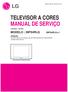 TELEVISOR A CORES MANUAL DE SERVIÇO CHASSIS : CW-62C