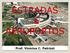 ESTRADAS E AEROPORTOS. Prof. Vinícius C. Patrizzi