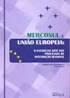 Mercosul e União Europeia: o estado da arte dos processos de integração regional, segundo Karine de