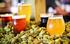 Regulamento. 2º Concurso Nacional de Cervejas Caseiras Agrária Malte