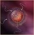 2. Entre os seres vivos ocorrem os tipos gamética, espórica e zigótica, de meiose, segundo o esquema: