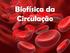 Relação entre a velocidade de circulação e o diâmetro dos vasos? Constância dos fluxos