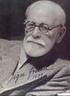 Sigmund Freud ( ) foi um médico vienense que se especializou no tratamento de problemas do sistema nervoso e em particular, de desordens