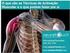 PROCESSO DE REGENERAÇÃO NA LESÃO MUSCULAR: UMA REVISÃO. Regeneration process in the muscle injury: a review
