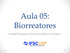 Aula 05: Biorreatores. Gabriel Brognara e Gustavo Martins d Oliveira