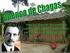 Transmissão oral da Doença de Chagas: breve revisão